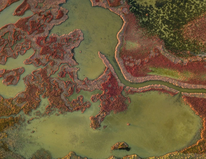 aerial view of green and brown land